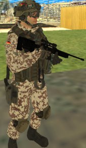 Bundeswehr Desert Variant Skins