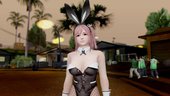 Dead Or Alive 5 Honoka Bunny Outfit