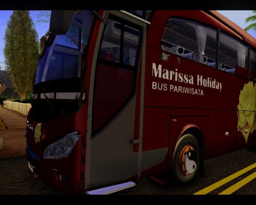 JetBus Marissa Holiday 