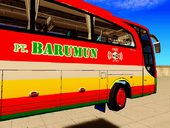 Bus Pt.BARUMUN Sibuhuan, palas, medan, sumut