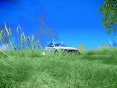 Super Realistic Grass