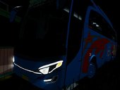 Bus Pt.BARUMUN v2 Sibuhuan, palas, medan, sumut