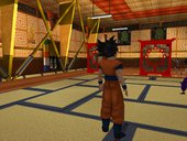 SF Goku Gym