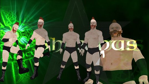WWE Superstars Skin 2014 