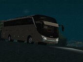 Adiputro Jetbus SHD 2+