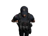 Interventna Jedinica Policije