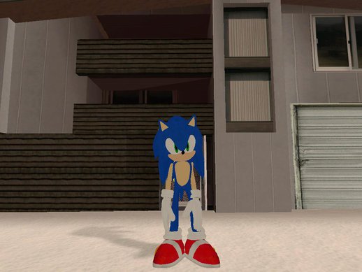 Sonic The Hedgehog 2006