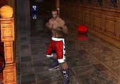 Boxing Savegame 