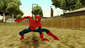Marvel Heroes - Spider-Man 