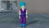 Dragon Ball Xenoverse Gohan Teen DBSuper Gi Pack