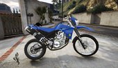 Yamaha XT660R Enduro [Add-On]