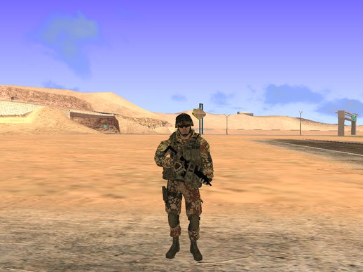 Danish Soldier 