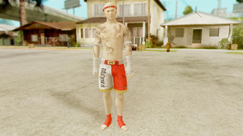 Skin from Sleeping Dogs v14 for GTA San Andreas