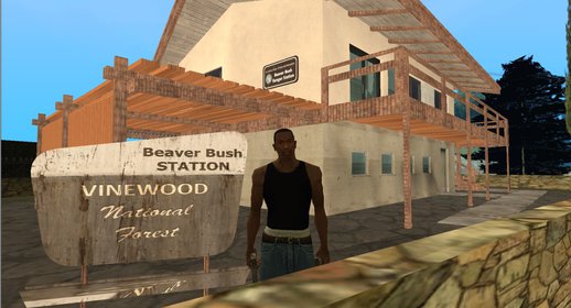 Beaver Bush Station From GTA V