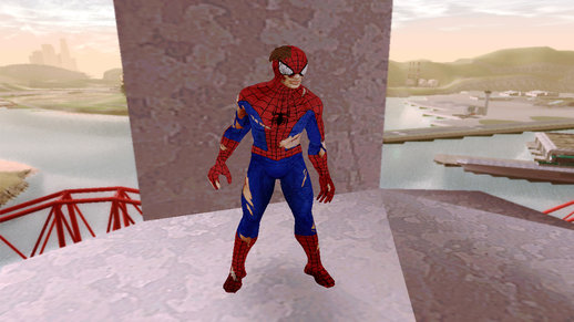 Marvel Heroes - Spider-Man Damaged