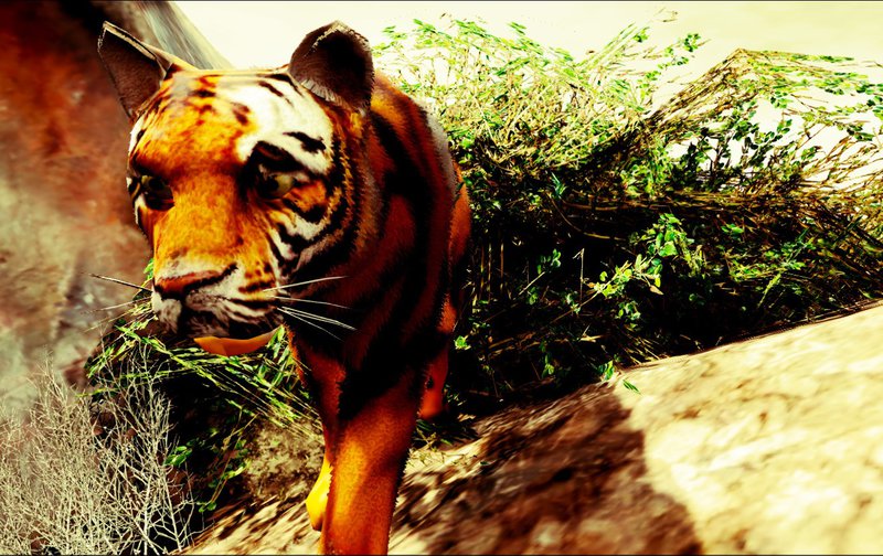 Tiger GTA