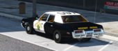 1974 Dodge Monaco Police