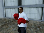 Boxing Gloves [FIXED]