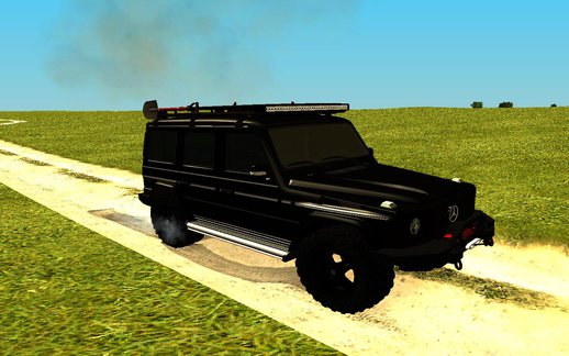 Mercedes-Benz G300 Professional