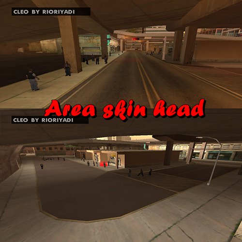 Area Skin Head