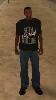 WWE Seth Rollins 