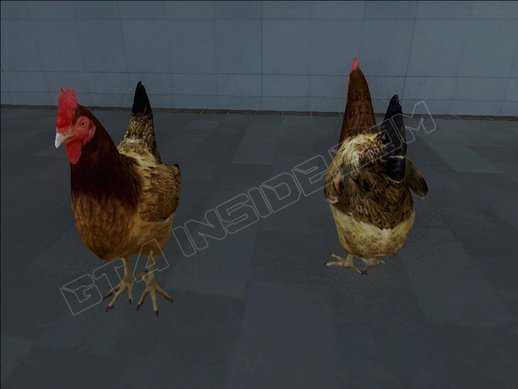 Chicken From Grand Theft Auto V