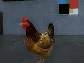 Chicken From Grand Theft Auto V