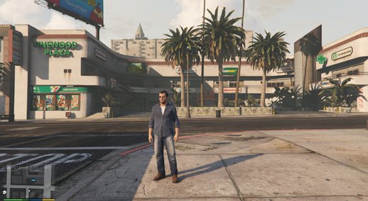 Real Shops for Vinewood Plaza