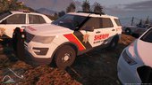 Blaine County Sheriff - Based on Broome County New Style