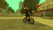 GTA V BMX