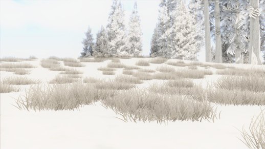 Grass Snow