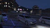 Volkswagen Passat 2015 Politia Romana / Romanian Police