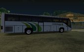 Coordinados Bus Mexico