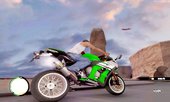 Kawasaki Ninja ZX-10R Ruff Ryder