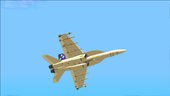 F/A-18E Rarity