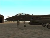 F-15K Slam Eagle