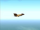 F-14A IRIAF