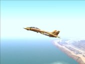 F-14A IRIAF