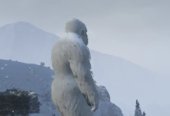 Yeti Skin