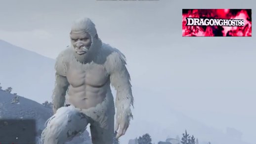 Yeti Skin