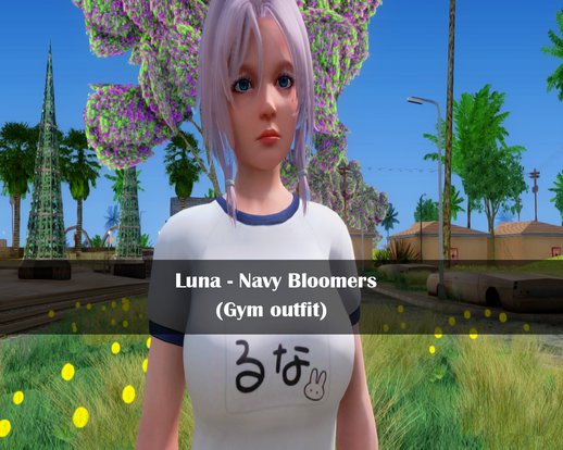 Luna - Navy Bloomers (Gym outfit)