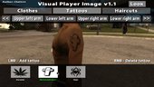 Visual Player Image v1.1