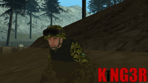 Sweden Army Skin