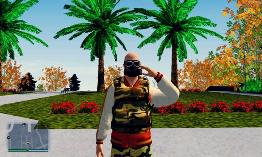 Skin Random #72 (Outfit Military)