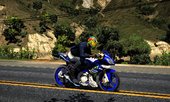 Yamaha R15 Limited Edition [Replace]