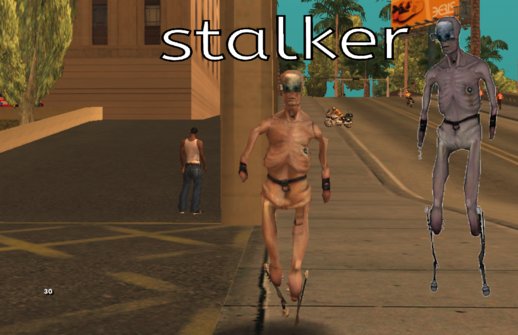 Half Life 2 Stalker