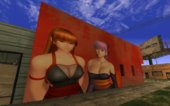 DOA Hot Kasumi and Ayane Mural