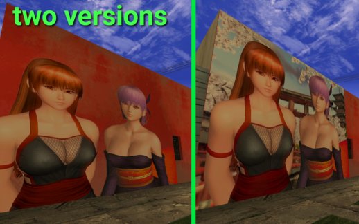 DOA Hot Kasumi and Ayane Mural