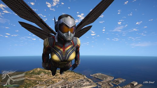 The Wasp From Ant-Man And The Wasp Movie