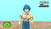 Vegeta Super Sayayin Blue Damaged